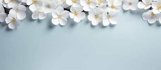 Wall Mural - white flowers natural background with petals. Creative banner. Copyspace image