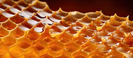 Poster - Honeycomb with cells full of fresh honey Macro photography. Creative banner. Copyspace image