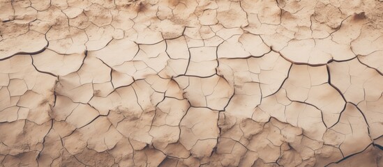 Wall Mural - cracked sand background texture. Creative banner. Copyspace image