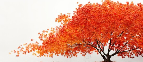 Poster - Maple tree with autumn leaves. Creative banner. Copyspace image