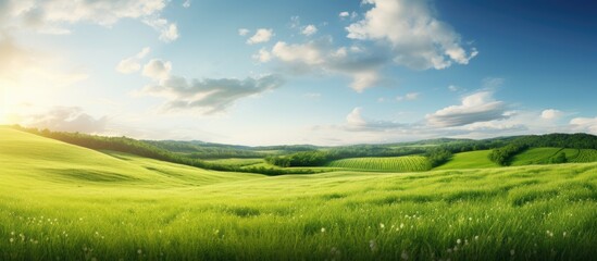 Poster - Green fields in the countryside. Creative banner. Copyspace image