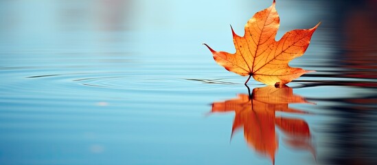 Poster - Leaf. Creative banner. Copyspace image