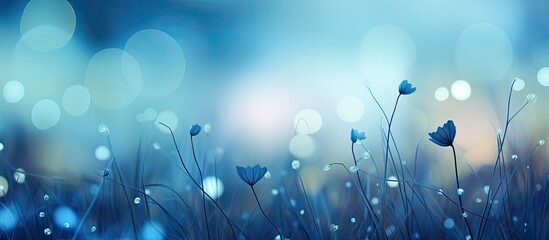 Aufkleber - Blue bokeh on defocus in the nature for art abstract blurred background or texture. Creative banner. Copyspace image
