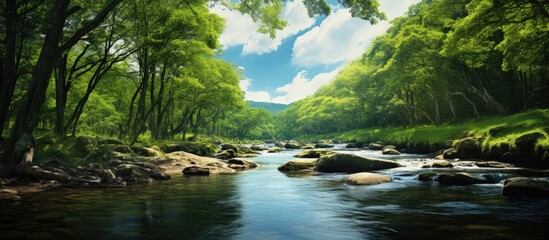 Poster - Summer natural landscape with a small forest river and overgrown banks. Creative banner. Copyspace image