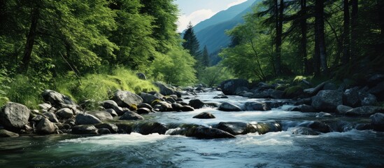 Poster - rapid stream with clear mountain water. Creative banner. Copyspace image