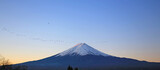 flock of birds flying cross the mt fuji in winter