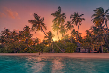 Wall Mural - summer island palm tree sea sand beach. panoramic beach landscape. inspire tropical nature seascape 