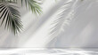 © pikshine - Light background with palm leaf shadow on a white wall. Vector background for product presentation, mockup display, and beauty concept template design.