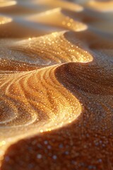 Wall Mural - beautiful golden sunset in the desert