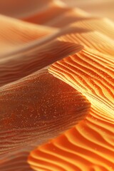Wall Mural - beautiful golden sunset in the desert
