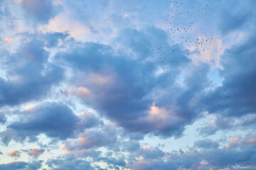 Poster - cloud and blue sky