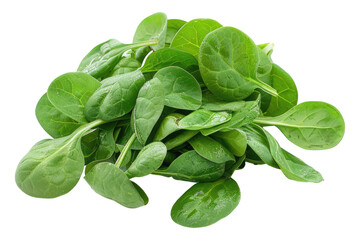 Poster - Healty greens isolated on transparent background