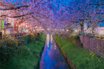 Sticker - canal in spring