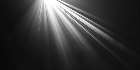 Wall Mural - A black background with spotlight beams shining brightly.