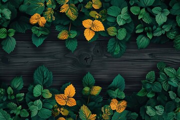 Aufkleber - Lush green and yellow leaves form a beautiful, natural pattern on a dark wooden background, creating a vibrant and contrasting visual feast.