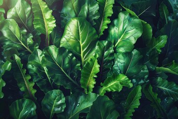 Aufkleber - Lush green foliage of tropical plants, close-up view. Vivid green leaves creating a dense and vibrant nature background, perfect for nature-themed projects.