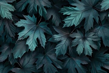 Poster - A close-up view of dark green leaves creating a lush textured background perfect for nature or botanical themes.
