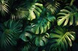 © Thamonchanok - Lush tropical green leaves of Monstera plant with natural lighting, creating a vibrant and fresh nature background. Ideal for botanical designs.