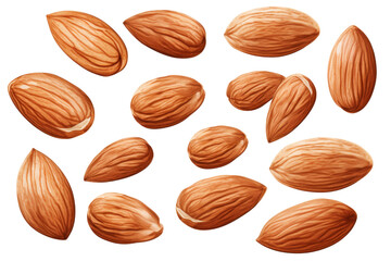 Hand Drawn Almonds Vectors art isolated with white background