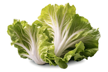 Two fresh heads of lettuce with vibrant green leaves isolated on a transparent, white background, png, for culinary use