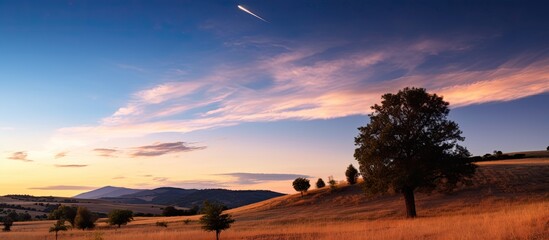Wall Mural - comet neowise shines in the night sky above the lake, framed by ethereal noctilucent clouds, creatin