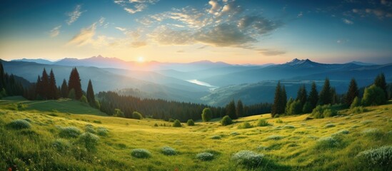 Canvas Print - Scenic Ukrainian Carpathian Mountains with beautiful rural fields and mountains in the morning view with copy space image.