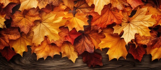 Wall Mural - Top view of a fall-themed arrangement with vibrant autumn leaves forming a beautiful background, suitable for displaying text or design elements. Copy space image. Place for adding text and design