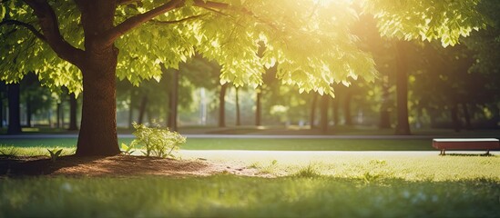 Beautiful summer landscape featuring a lush green tree with a serene natural backdrop, ideal for copy space image.