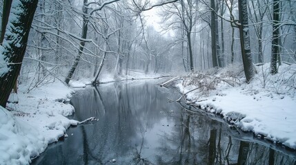 Wall Mural - cold river in winter landscape with forest