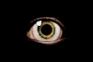 Poster - X-Ray ultrasound scan of human eye
