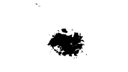 Sticker - animated video of splashes of black ink liquid