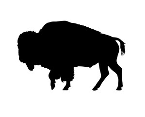 Wall Mural - Bison silhouette - vector illustration