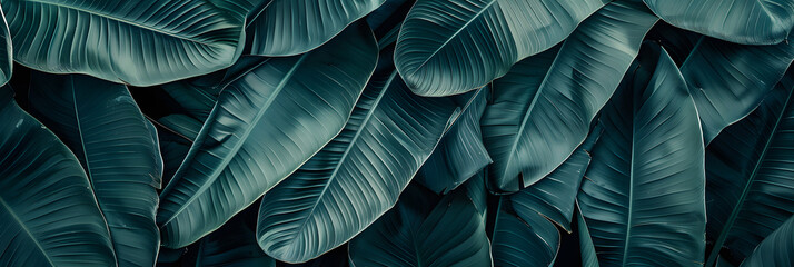 tropical banana leaf details