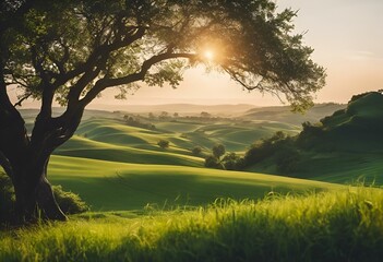 Wall Mural - a tree stands in the middle of a grassy field, while the sun sets over