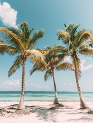 Wall Mural - palm trees in summer on a beach in Mexico