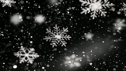 Poster - A close-up shot of snowflakes in black and white, perfect for winter-themed designs and projects.
