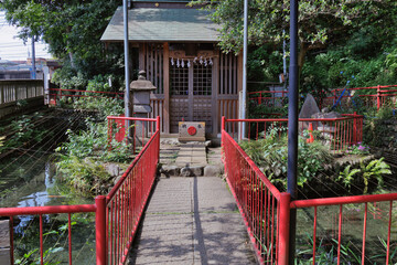 Wall Mural - 神社の弁天池