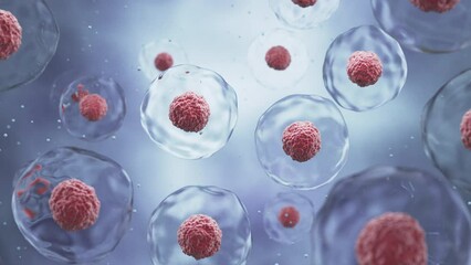 Wall Mural - human cell or embryonic stem cell microscope background.