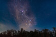 © Austockphoto - A view of a starry night sky above treetops with the Southern Cross and Milky Way clearly visible