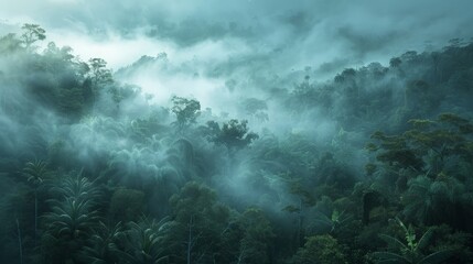 Wall Mural - Misty jungle morning with fog rolling through the trees, creating an ethereal and mystical atmosphere, with the first light of dawn illuminating the scene 