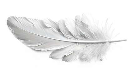 Sticker - white feather isolated on white