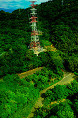 Wall Mural - A tall tower is seen in the middle of a forest