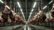 © Hound - Meat industry, meats hanging in the cold store. Cattles cut and hanged on hook in a slaughterhouse. Halal cutting