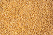 © Nikolay - Wheat grain as a background. Top view.