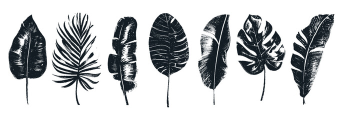 Abstract foliage elements isolated on a white background. Tropical leaves set. Collection of black and white graphic silhouettes. Hand drawn of botanical vectors for decor, website, graphic decorative