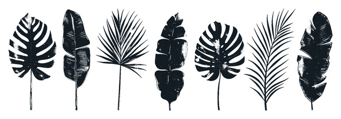 Wall Mural - Collection of silhouette leaf elements. Set of tropical plants, leaf branch, palm, monstera leaves, foliage. Hand drawn of botanical vectors for decor, website, graphic, decorative.