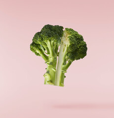 Fresh raw Brocolli cabbage falling in the air isolated on pinkk backround. Healthy food levitation. High resolution image