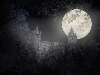 Canvas Print - European medieval castle at night