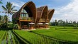 © chanidapa - Serene bamboo amid rice fields in Southeast Asia, known for its unique, eco-friendly dining experience and beautiful rooftop views