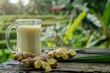 © darshika - Ginger milk boosts stamina and refreshes body.